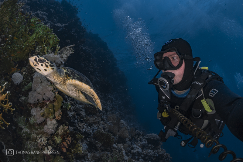 Hvad skal jeg bruge, når jeg dykker?